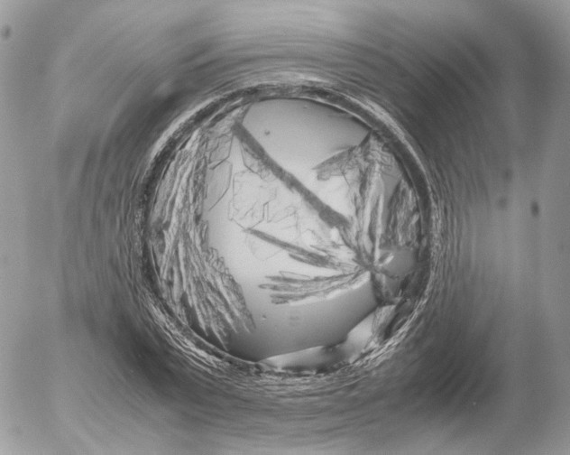 X0000052630783200507221749