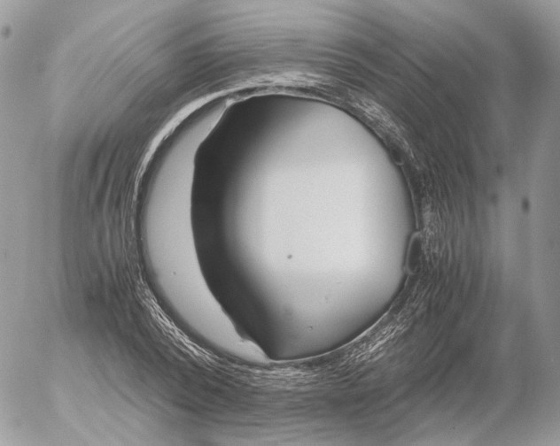 X0000052630784200507221749