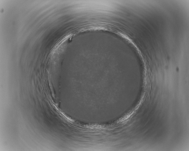 X0000052630785200507221749