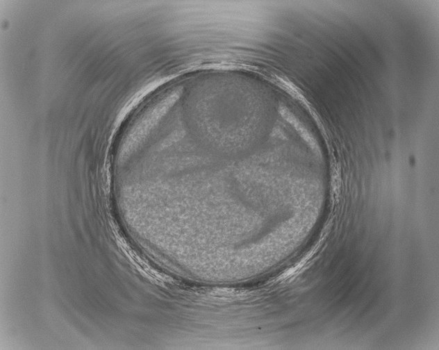 X0000052630787200507221749