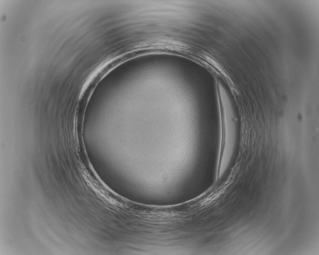 X0000052630788200507221749