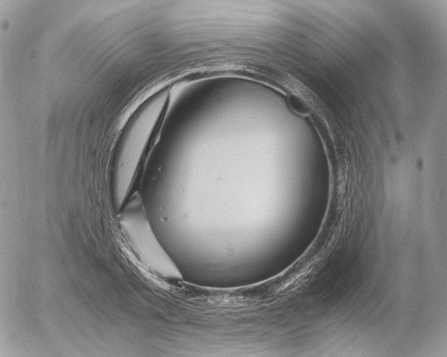 X0000052630789200507221749