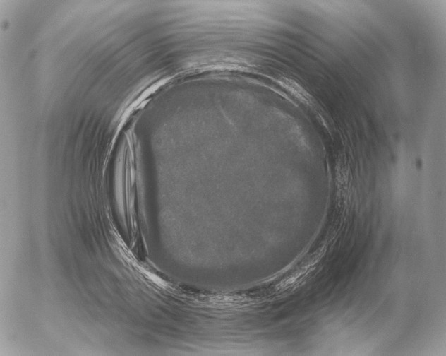 X0000052630790200507221749