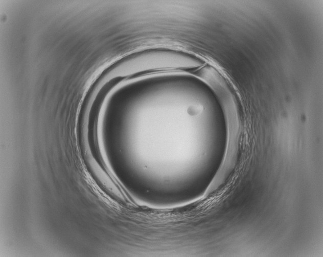 X0000052630791200507221749