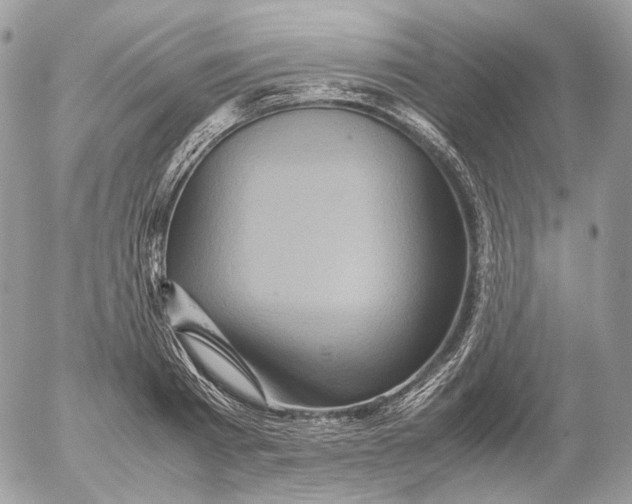 X0000052630793200507221749