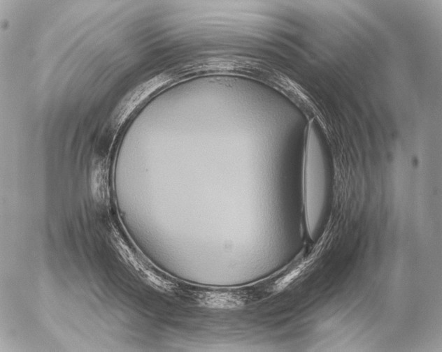 X0000052630794200507221749