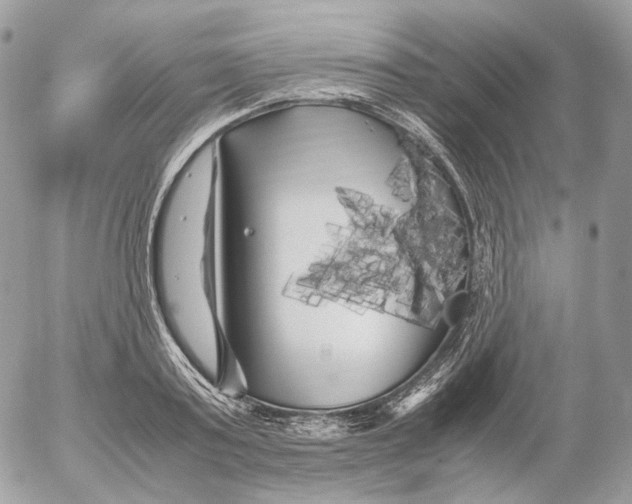 X0000052630795200507221749