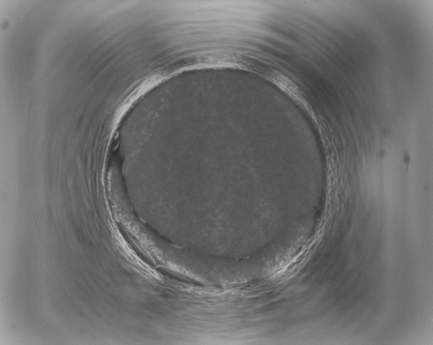 X0000052630797200507221749