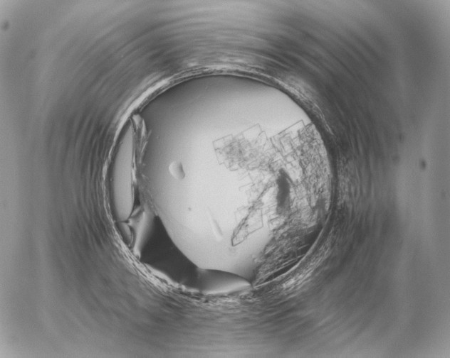 X0000052630798200507221748