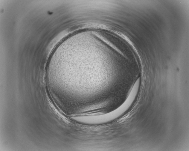 X0000052630799200507221748