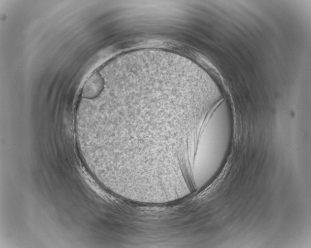 X0000052630800200507221748