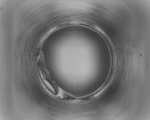 X0000052630801200507221748