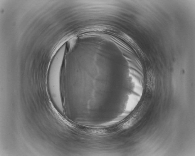 X0000052630802200507221748