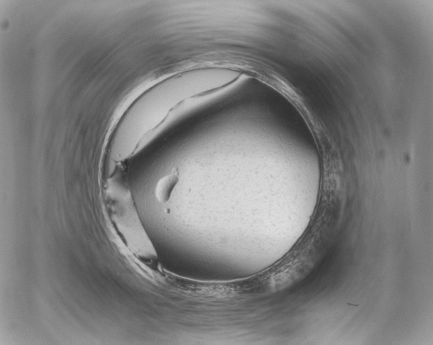 X0000052630803200507221748