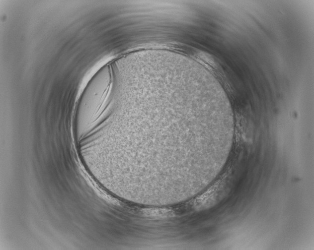 X0000052630804200507221748