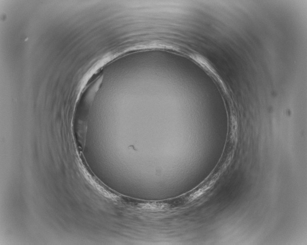 X0000052630805200507221748