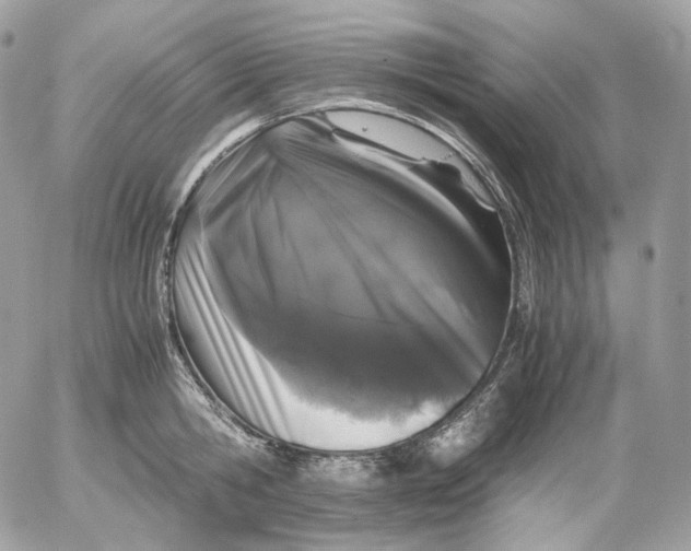 X0000052630806200507221748