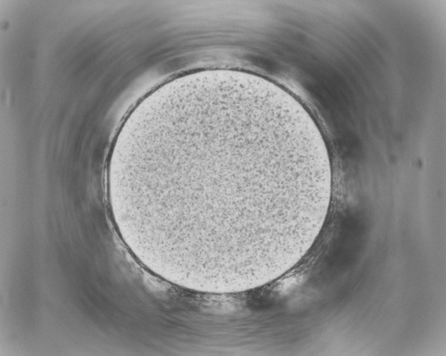 X0000052630807200507221748