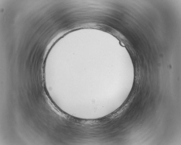 X0000052630808200507221748