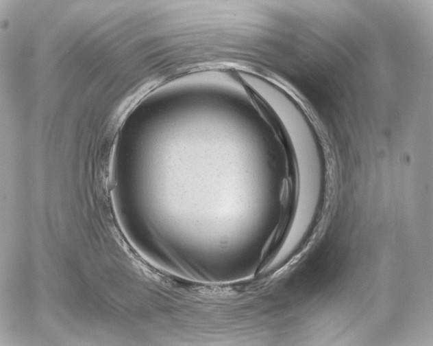 X0000052630809200507221748