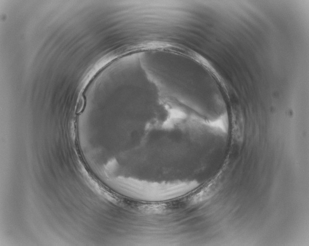 X0000052630810200507221748