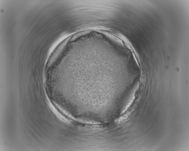 X0000052630811200507221748