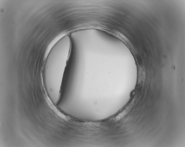 X0000052630812200507221748