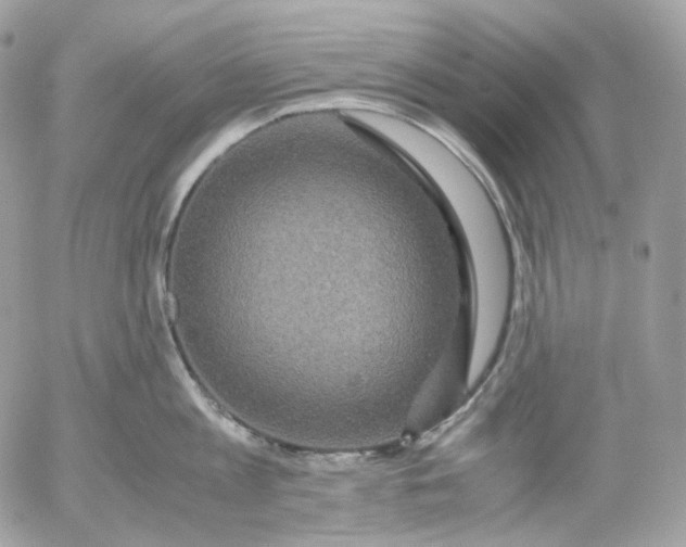 X0000052630813200507221748