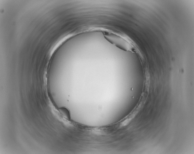 X0000052630814200507221748