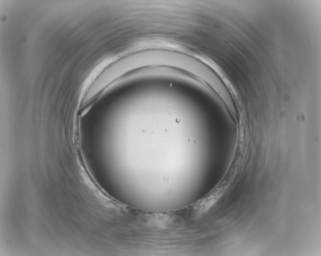 X0000052630815200507221748