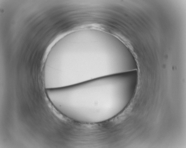 X0000052630816200507221748