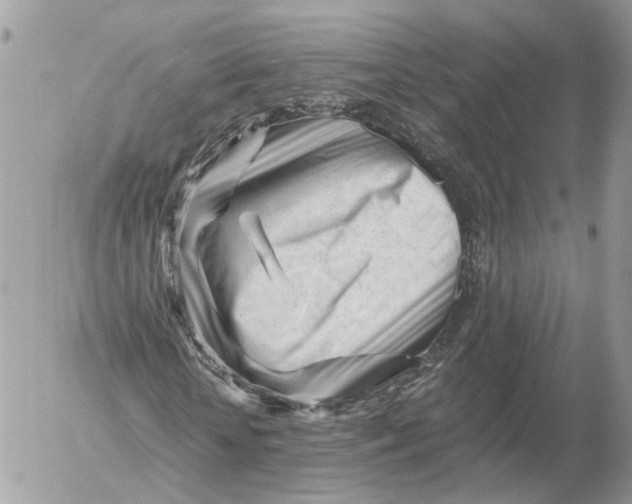 X0000052630818200507221747