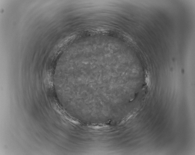 X0000052630819200507221747