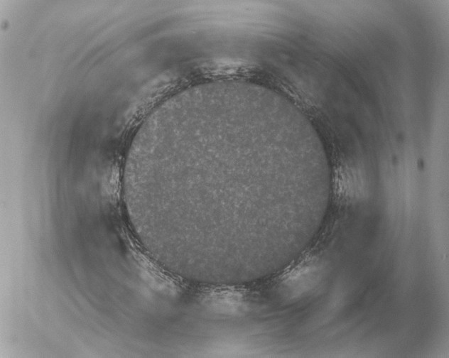 X0000052630820200507221747