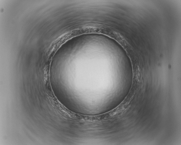 X0000052630821200507221747