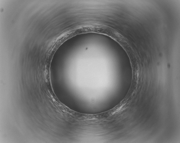 X0000052630822200507221747