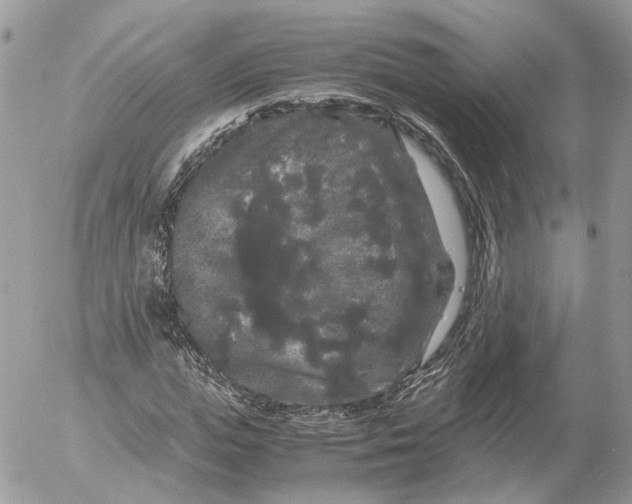 X0000052630823200507221748