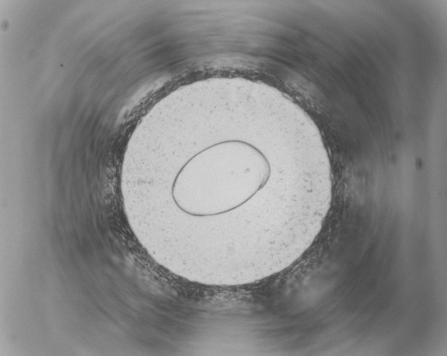 X0000052630824200507221748