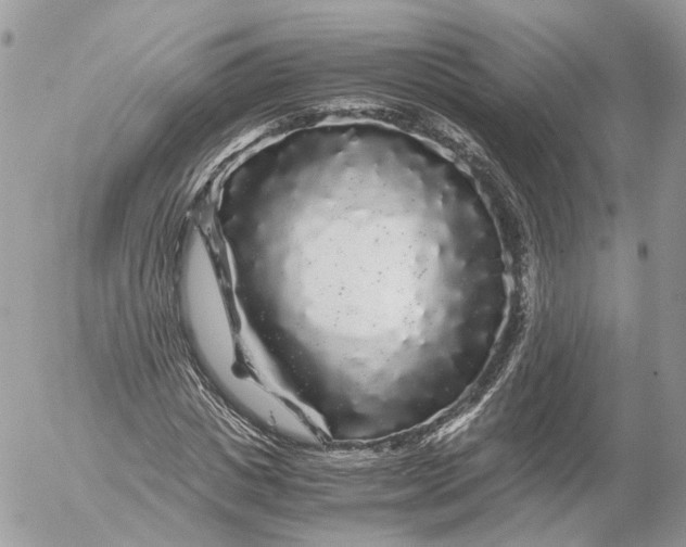 X0000052630825200507221748