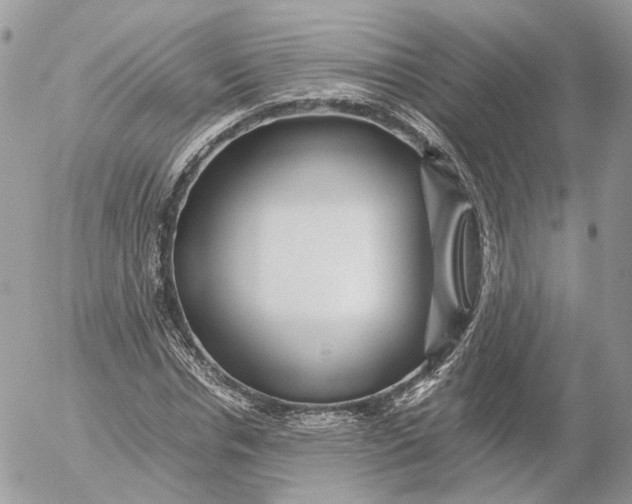 X0000052630826200507221748