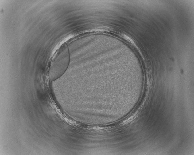 X0000052630827200507221748