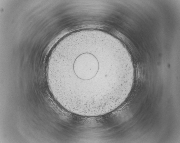 X0000052630828200507221748