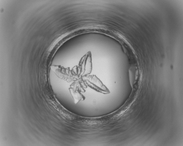 X0000052630829200507221748