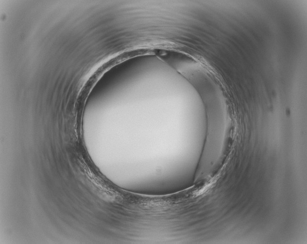 X0000052630830200507221748