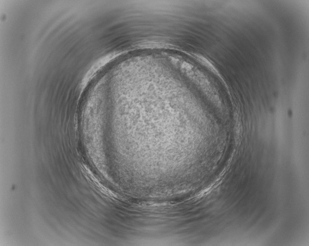 X0000052630831200507221748