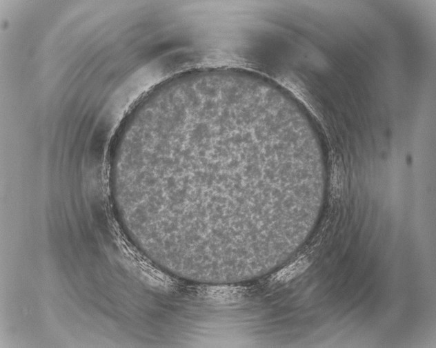 X0000052630832200507221748