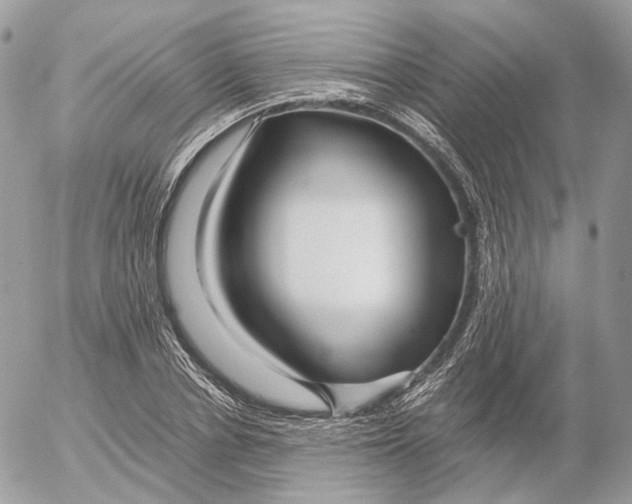 X0000052630834200507221748