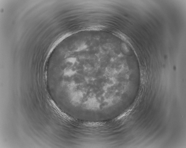 X0000052630835200507221748