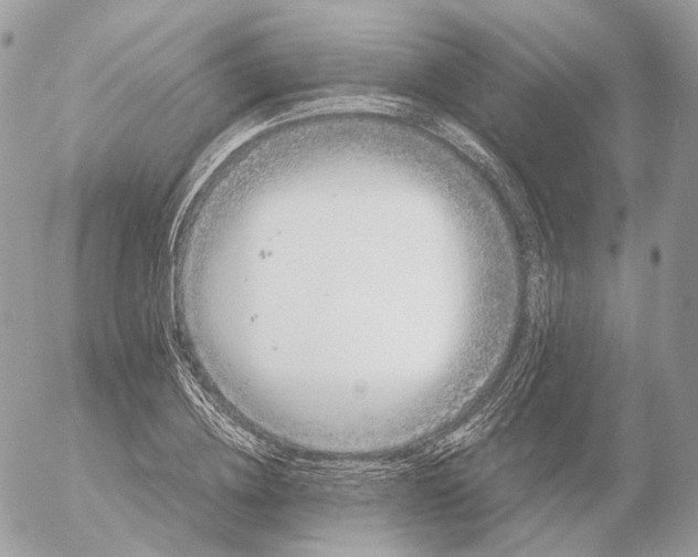 X0000052630836200507221748