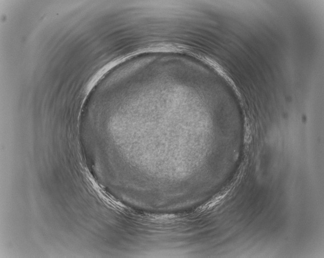 X0000052630837200507221748